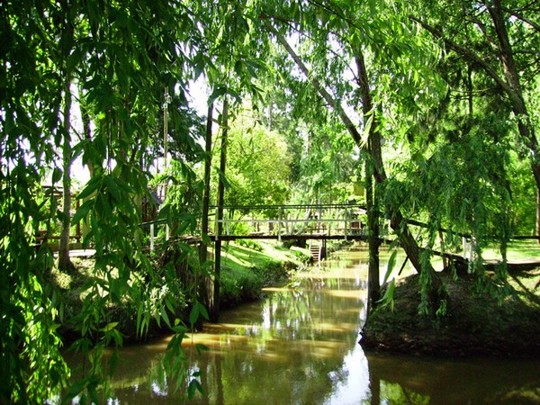 Delta du Paraná