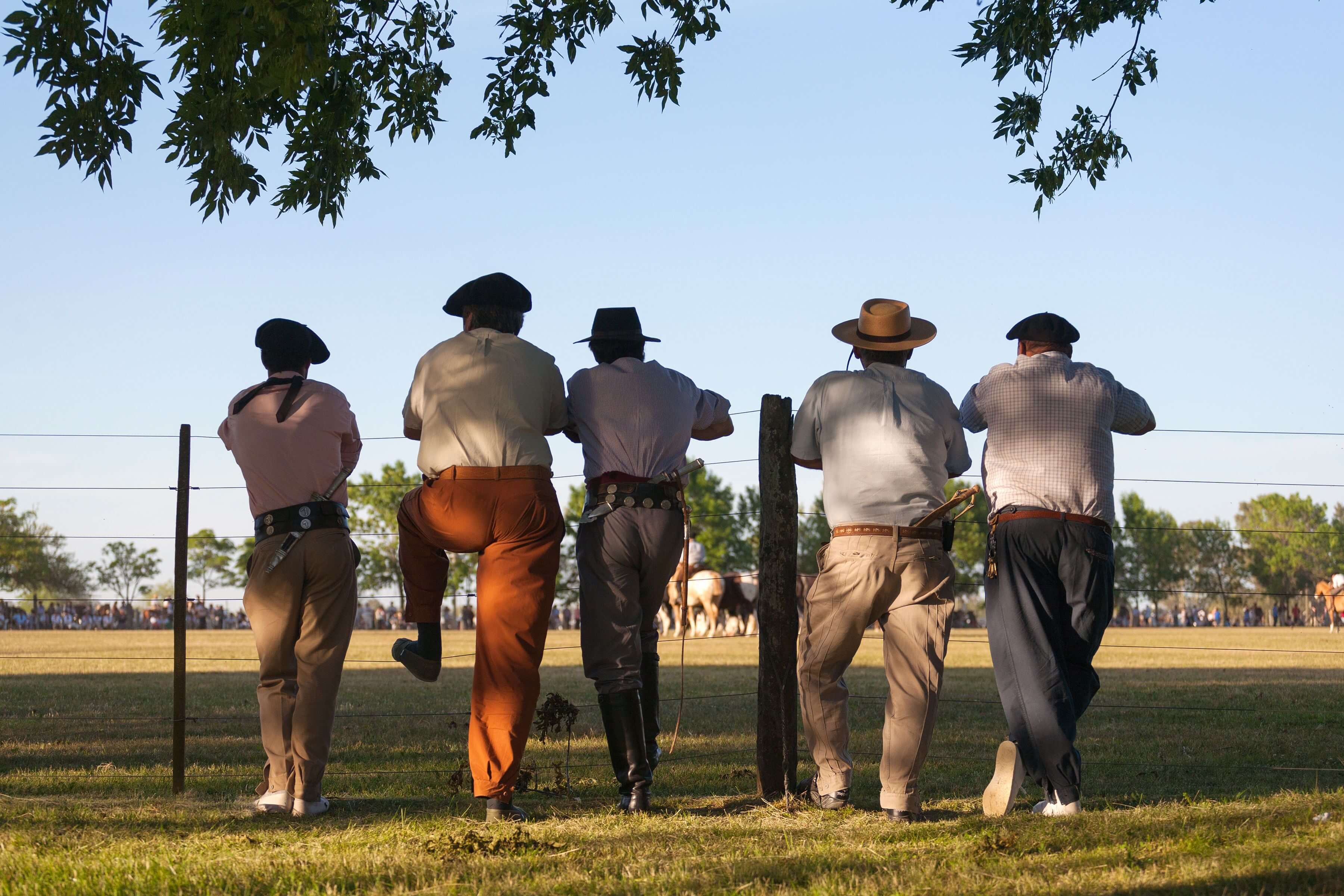 Gauchos, Argentine, spécialiste de l'argentine