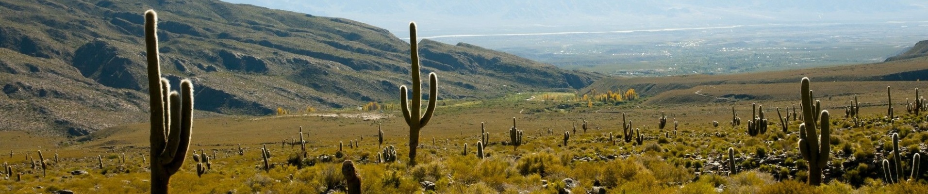 Parc Los Cardones, region Argentine