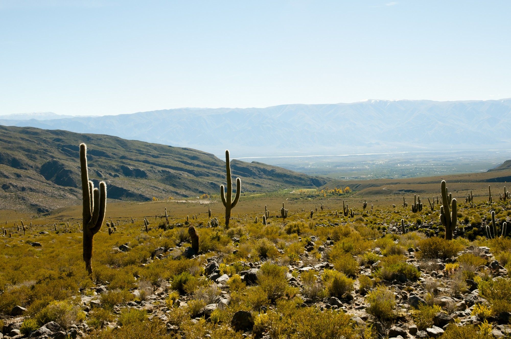Parc Los Cardones, region Argentine