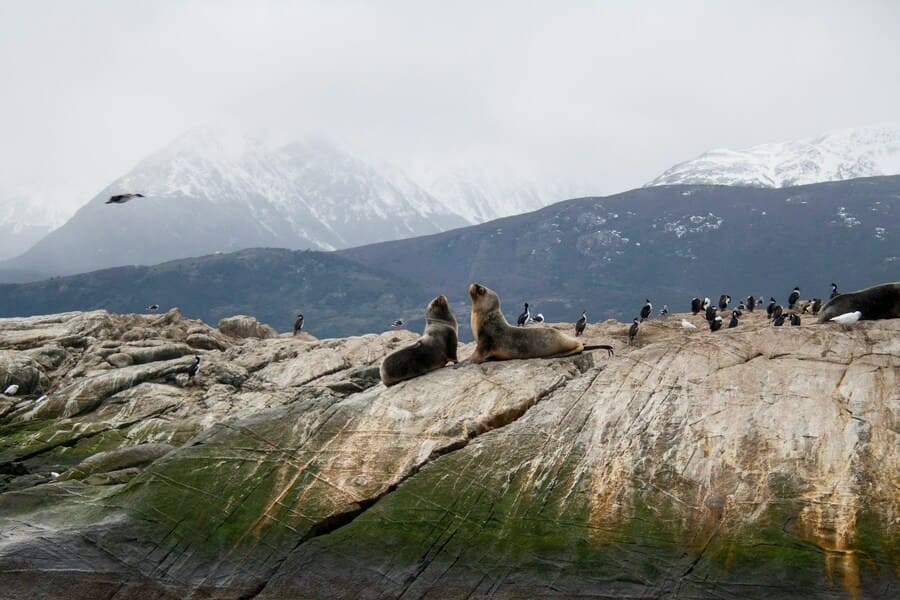 Canal de Beagle, Ushuaia