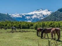 Cerro Tronador