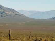 Parc national Los Cardones