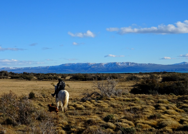 Patagonie à cheval