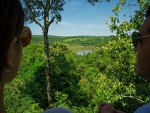 Forêt subtropicale, Puerto Bemberg