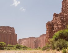Parc national Talampaya