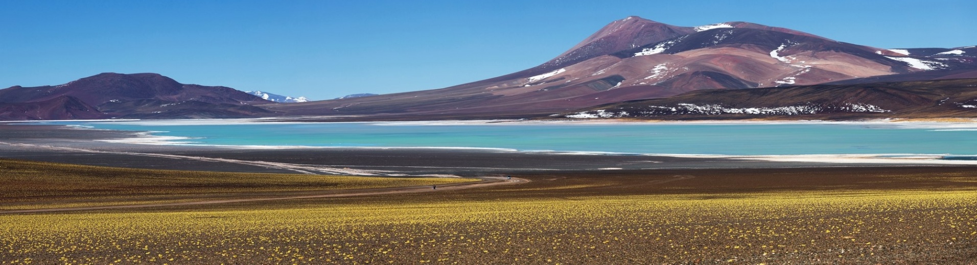 Laguna Brava