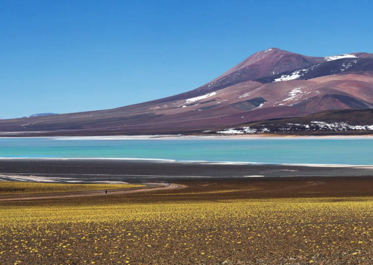 Laguna Brava