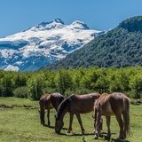 voyage en patagonie