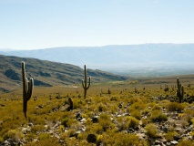 parc national los cardones