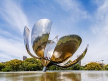 floralis genérica