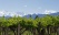 Vignes et montagnes enneigées à Mendoza en Argentine