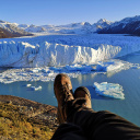 el-calafate-argentine