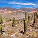 argentine-humahuaca-temoignage