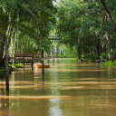 Tigre et le Delta de Parana